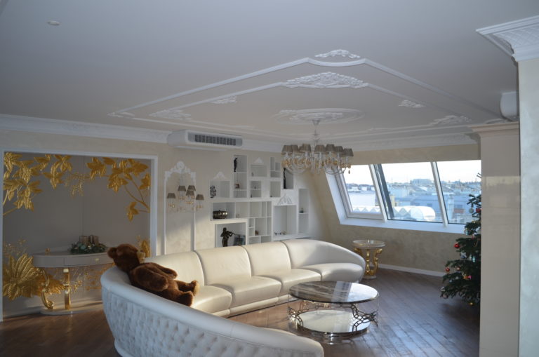 salon dans un appartement duplex à Vienne