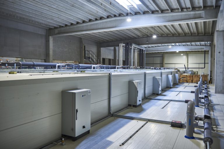 warehouse of the company Van Damme de Ternat
